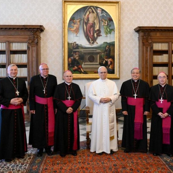 Diario Frontera, Frontera Digital,  Internacionales, ,El Papa escucha las preocupaciones de la Iglesia en Europa