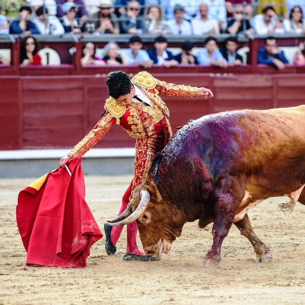 Diario Frontera, Frontera Digital,  Entretenimiento, ,Crónica de un gesto fallido: la raza de Marco Pérez no fue suficiente contra los elementos 
y el muro de su espada en una tarde hostil en Las Ventas