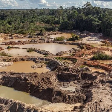 Diario Frontera, Frontera Digital,  Sucesos, ,Arrestan a cinco personas en Bolívar por «minería ilegal y la depredación ambiental»