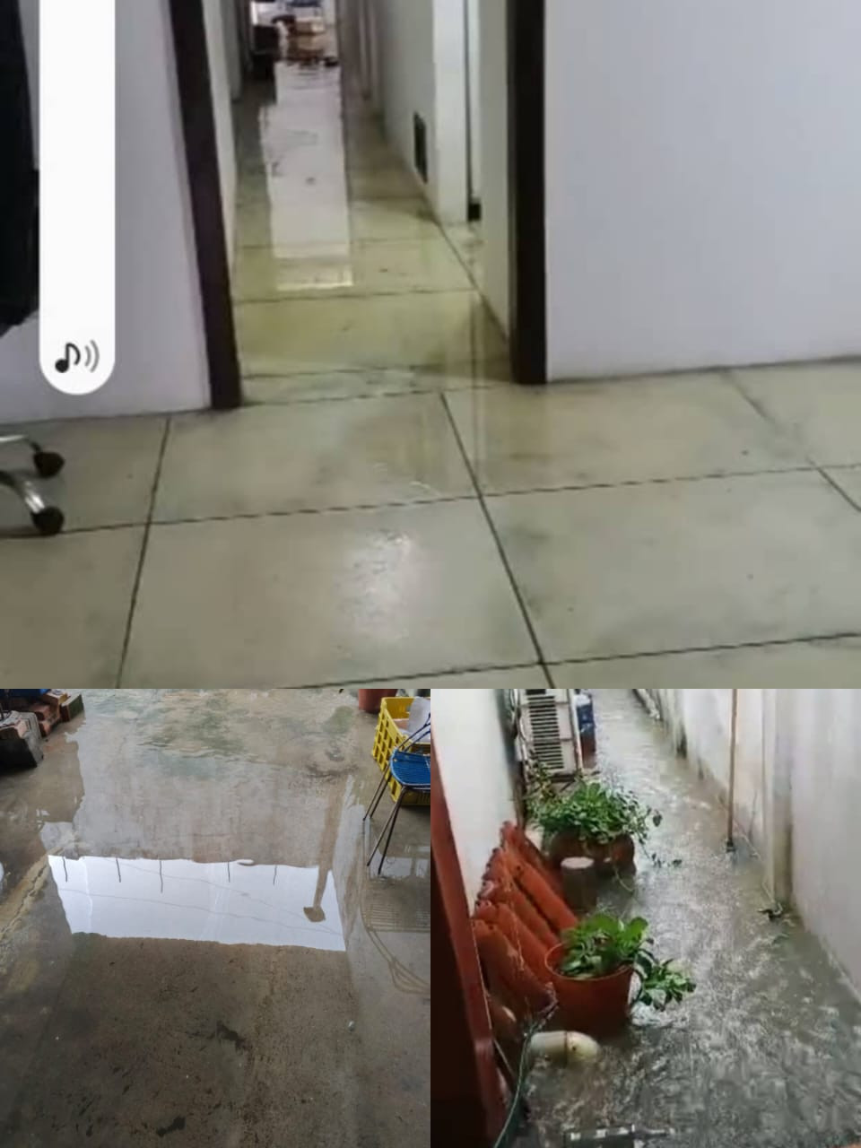 Diario Frontera, Frontera Digital,  El Vigía Panamericana, ,Inundación de viviendas en Las Rurales del municipio Alberto Adriani por lluvias y obstrucción de las cloacas