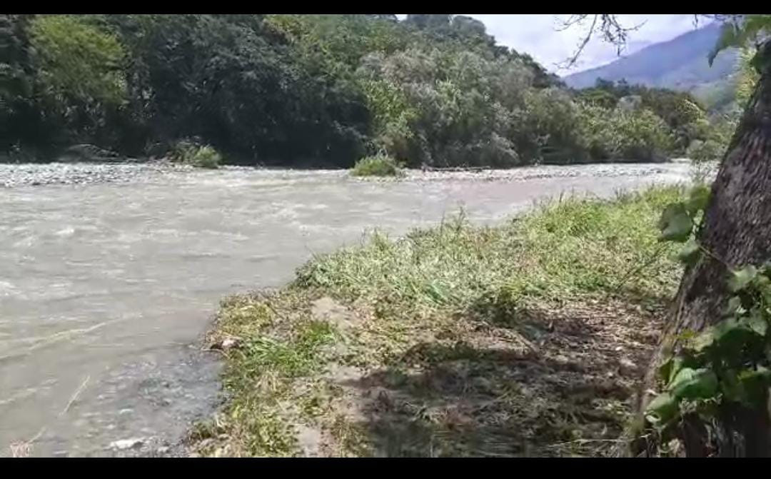 Diario Frontera, Frontera Digital,  Regionales, ,Río Chama acabó producción de maíz, cacao y plátano en Vega del Chama