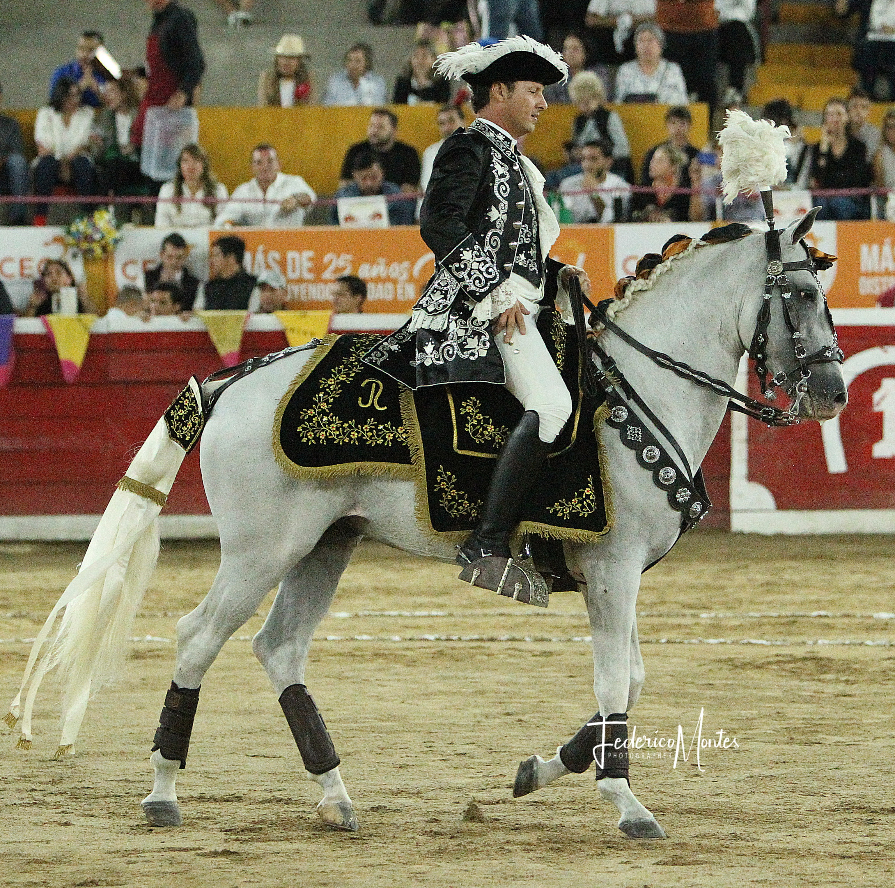 Diario Frontera, Frontera Digital,  Entretenimiento, ,El rejoneador José Luis Rodríguez y Los Aránguez, ultimas inclusiones de la Feria de JSA