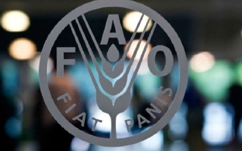Diario Frontera, Frontera Digital,  Salud, ,Sudamérica podría alcanzar al meta de "hambre cero" en 2030, según la FAO