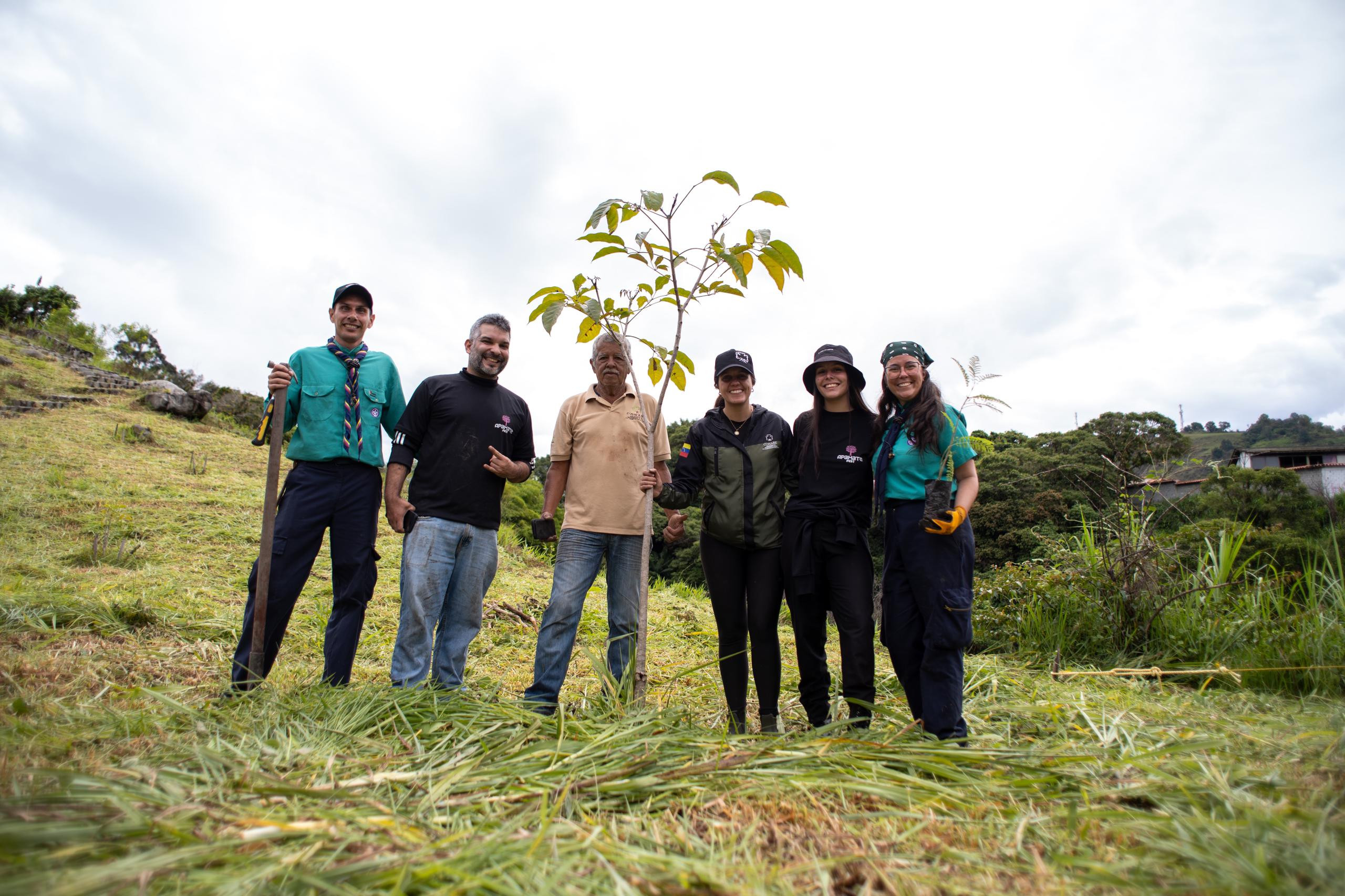Diario Frontera, Frontera Digital,  Regionales, ,Cultura, naturaleza y acción colectiva: Apamate Fest da inicio a sus actividades con jornada de reforestación