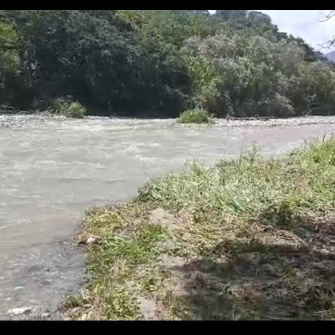 Diario Frontera, Frontera Digital,  Regionales, ,Río Chama acabó producción de maíz, cacao y plátano en Vega del Chama