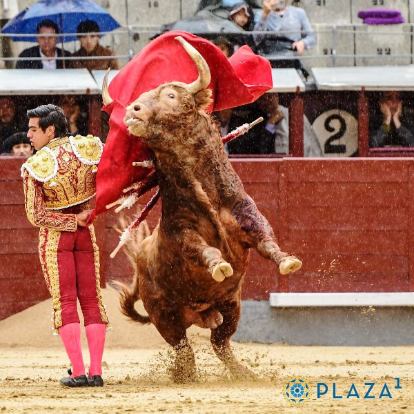 Diario Frontera, Frontera Digital,  Entretenimiento, ,“Colombo” y Solal, la entrega de la juventud tiene premio en Istres