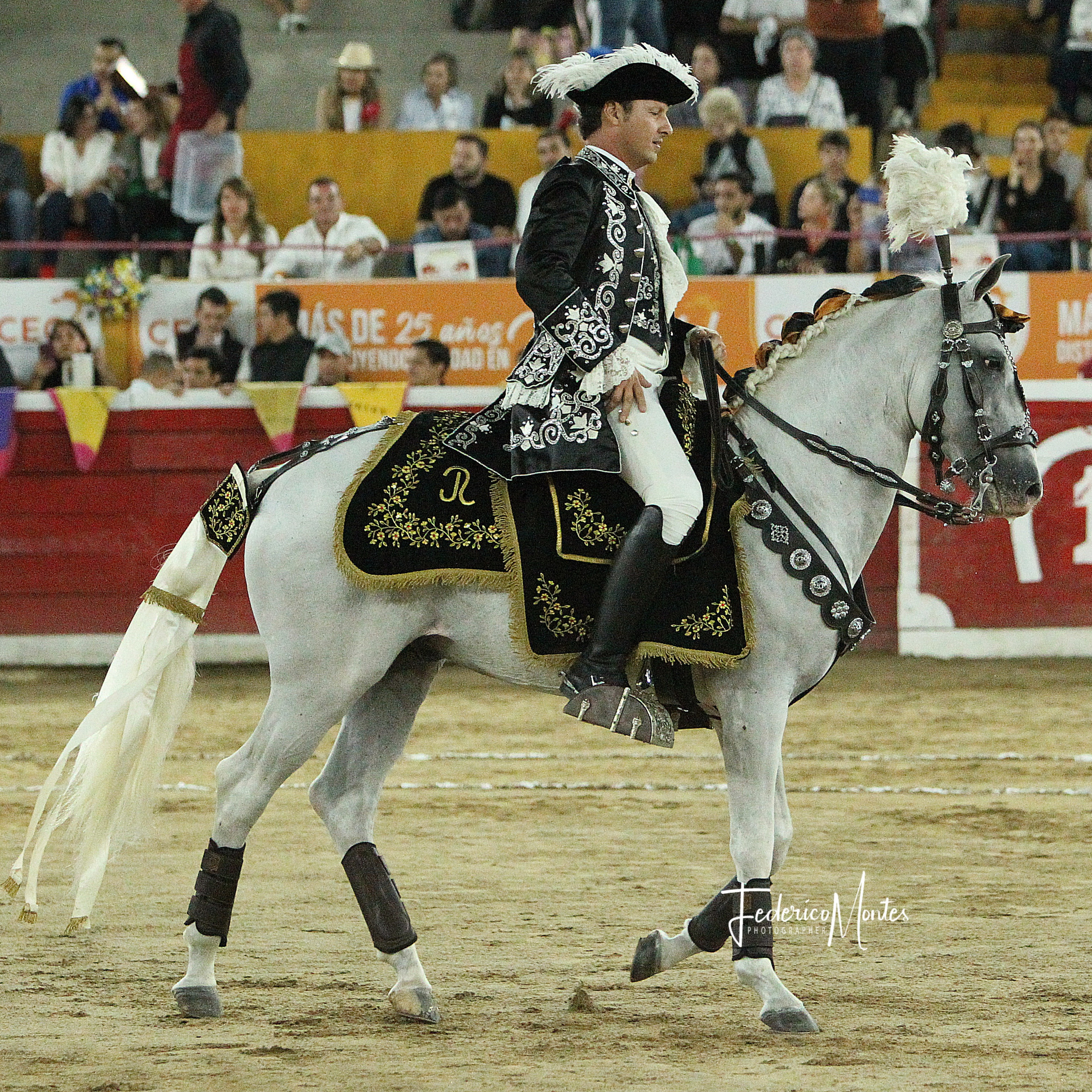 Diario Frontera, Frontera Digital,  Entretenimiento, ,El rejoneador José Luis Rodríguez y Los Aránguez, ultimas inclusiones de la Feria de JSA