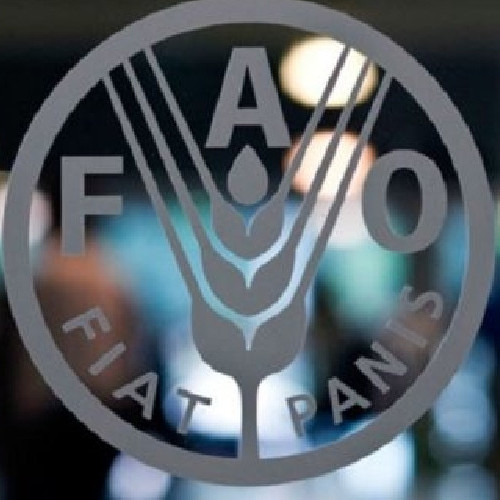Diario Frontera, Frontera Digital,  Salud, ,Sudamérica podría alcanzar al meta de "hambre cero" en 2030, según la FAO