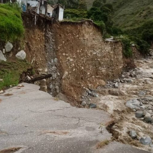 Diario Frontera, Frontera Digital,  Regionales, ,Se pierden cosechas en Mérida por colapso de vialidad agrícola tras intensas lluvias