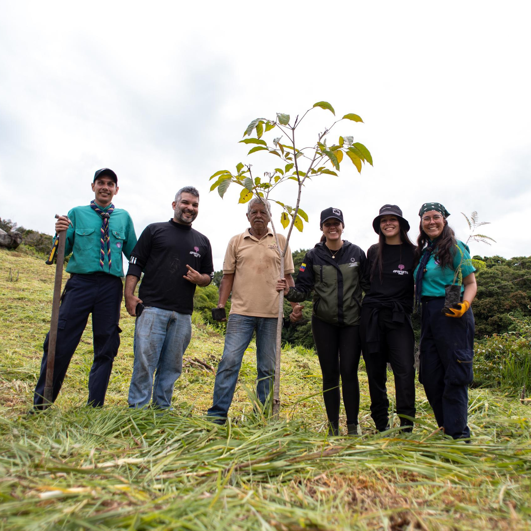 Diario Frontera, Frontera Digital,  Regionales, ,Cultura, naturaleza y acción colectiva: Apamate Fest da inicio a sus actividades con jornada de reforestación