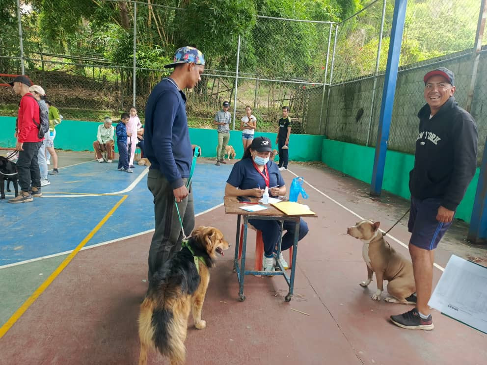 Diario Frontera, Frontera Digital,  Regionales, ,Exitosa jornada veterinaria en El Arenal y Don Perucho atendió a 500 animales afectados por inundaciones