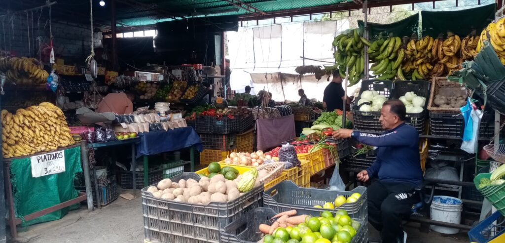 Diario Frontera, Frontera Digital,  Regionales, ,Alto costo de hortalizas golpea el bolsillo de los merideños