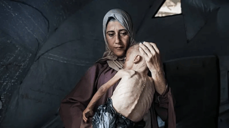 Diario Frontera, Frontera Digital,  Internacionales, ,Más de 100 agencias de ayuda humanitaria denuncian 
que la hambruna masiva se extiende en Gaza