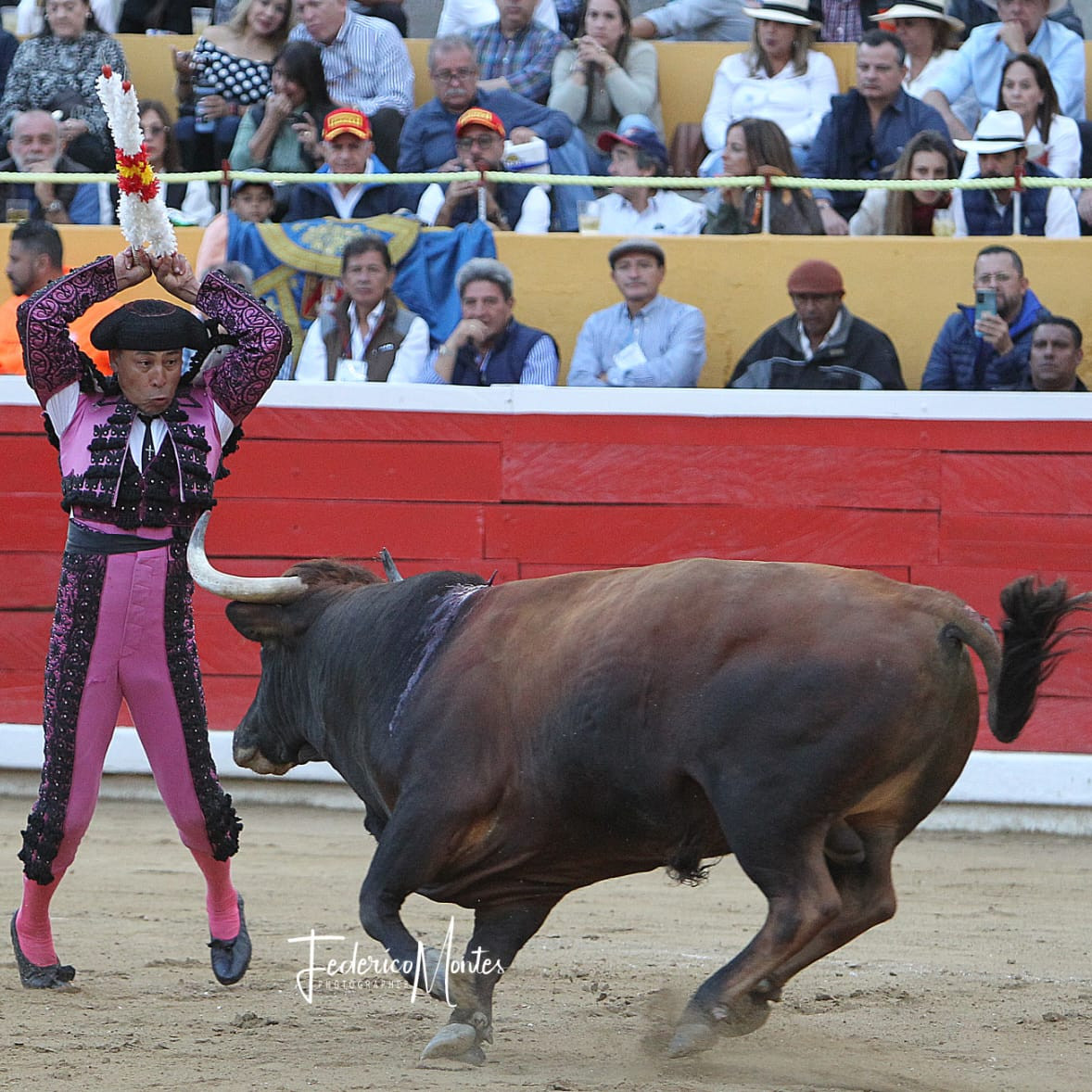 Diario Frontera, Frontera Digital,  Entretenimiento, ,Toros colombianos de Santa Bárbara debutan en la Feria de JSA