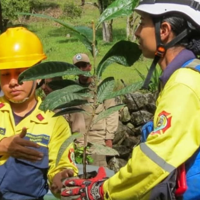 Diario Frontera, Frontera Digital,  Regionales, ,Gran Misión Madre Tierra planta 500 especies arbóreas en microcuenca del río Albarregas
