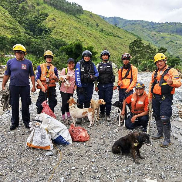 Diario Frontera, Frontera Digital,  Regionales, ,Alcalde Jesús Araque destaca rescate animal 
en Brisas del Chama como ejemplo de acción conjunta