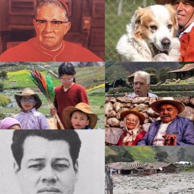 Diario Frontera, Frontera Digital,  Opinión, ,“Carrusel de La Fama, Patrimonio Cultural Intangible del estado Mérida” del domingo 06 de julio de 2025, por Néstor Trujillo Herrera (PARTE II)