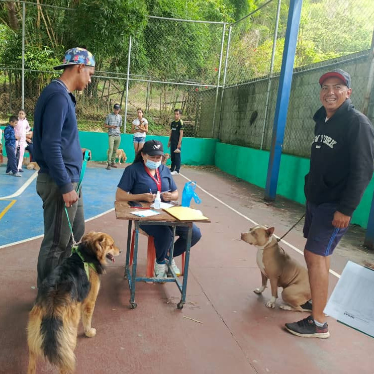 Diario Frontera, Frontera Digital,  Regionales, ,Exitosa jornada veterinaria en El Arenal y Don Perucho atendió a 500 animales afectados por inundaciones