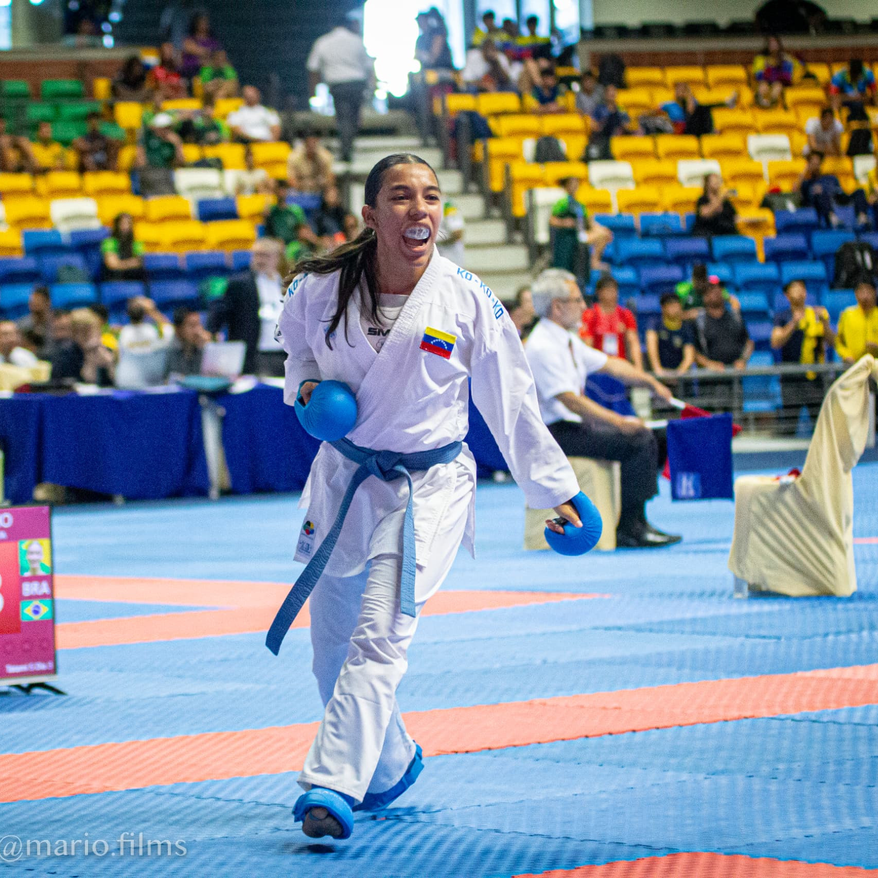 Diario Frontera, Frontera Digital,  Deportes, ,Karateca Katherine Loyo se corona como reina suramericana en el campeonato de la especialidad
