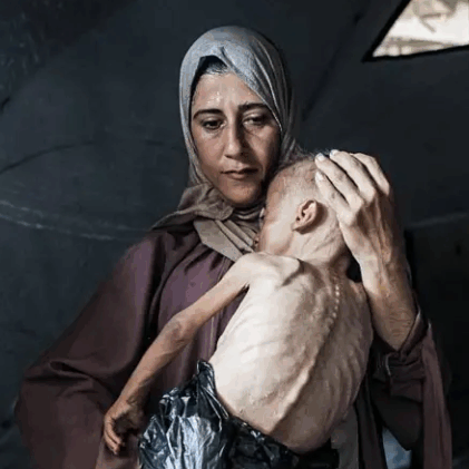 Diario Frontera, Frontera Digital,  Internacionales, ,Más de 100 agencias de ayuda humanitaria denuncian 
que la hambruna masiva se extiende en Gaza