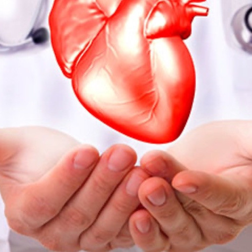 Diario Frontera, Frontera Digital,  Salud, ,Sociedad Venezolana de Cardiología alerta sobre alarmante aumento de enfermedades cardiovasculares en Venezuela