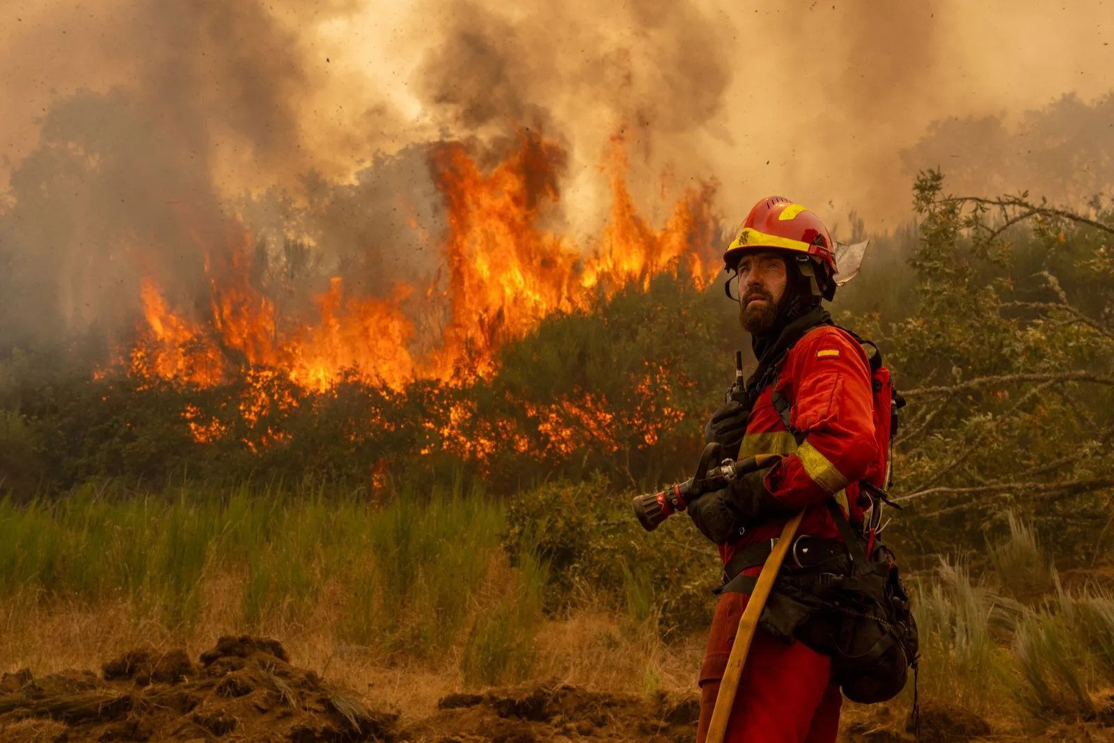 Diario Frontera, Frontera Digital,  Internacionales, ,Incendios en Europa han dejado al menos 5 muertos, decenas de heridos y miles de evacuados