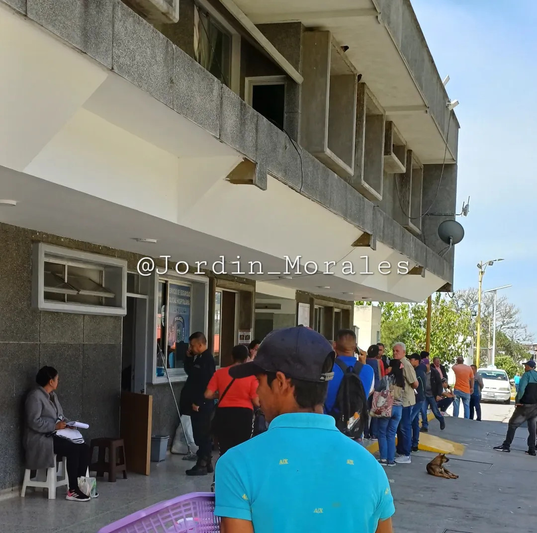 Diario Frontera, Frontera Digital,  Sucesos, ,Octogenaria murió al ser atacada por tres perros en San Juan de Lagunillas