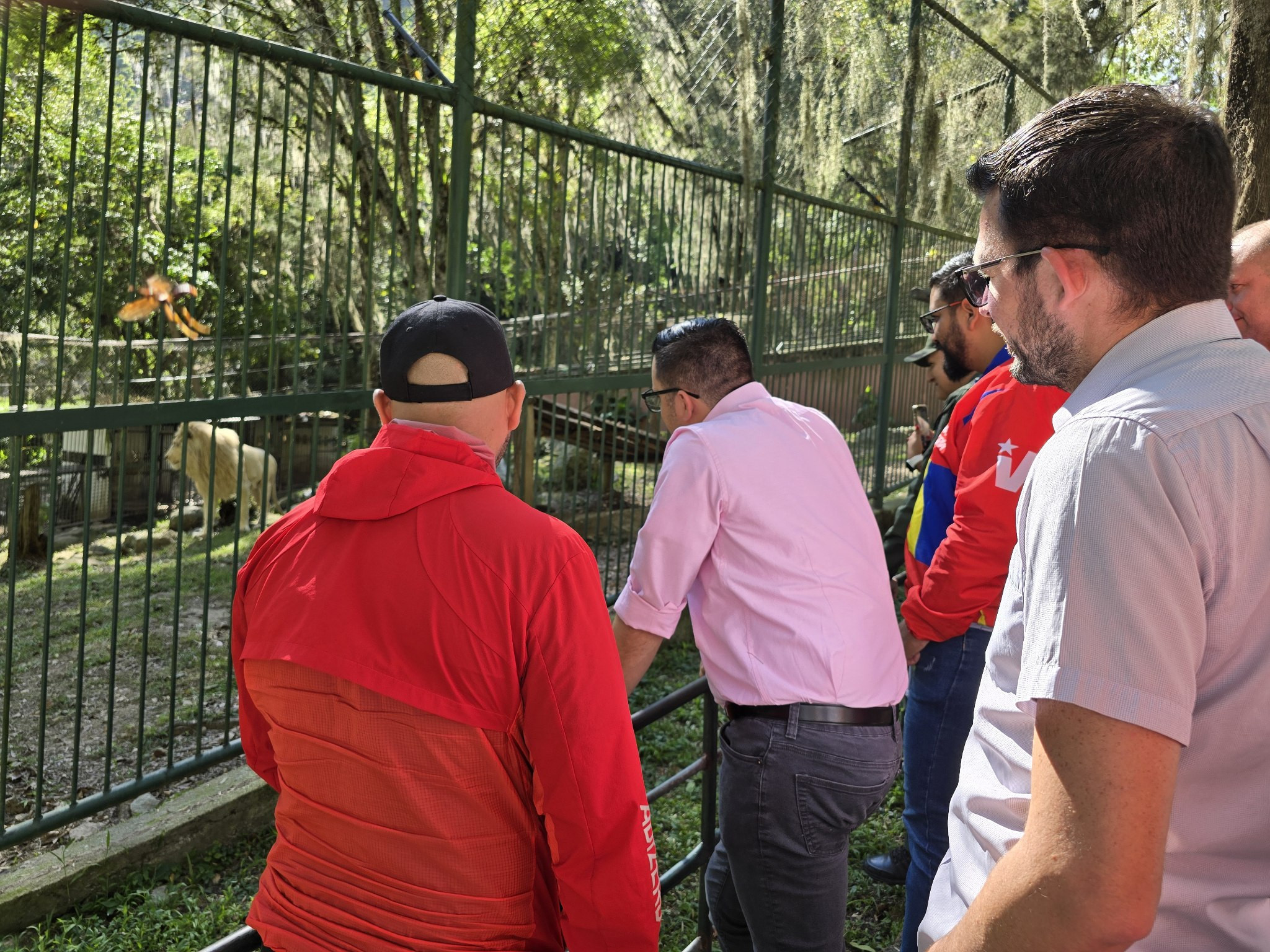 Diario Frontera, Frontera Digital,  Regionales, ,Gobernador Arnaldo Sánchez celebra el nacimiento de leones en el Parque Zoológico Chorros de Milla