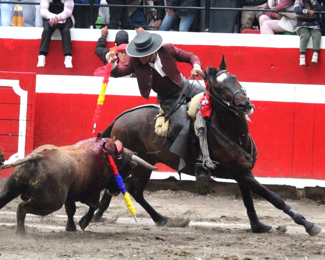 Diario Frontera, Frontera Digital,  Entretenimiento, ,Rejoneador Francisco Javier Rodríguez 
hace historia al indultar un gran toro