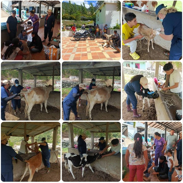 Diario Frontera, Frontera Digital,  Páramo, ,Colegio de Veterinarios realizó una Jornada Especial
de Vacunación en el municipio Rangel de Mérida