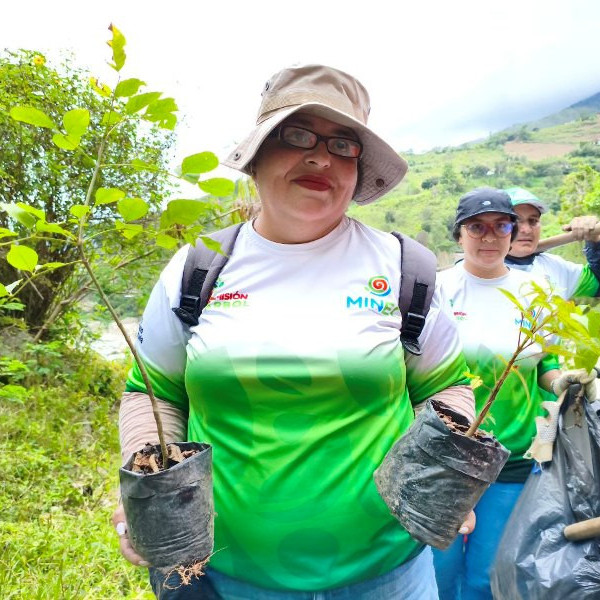 Diario Frontera, Frontera Digital,  Regionales, ,Masiva jornada de reforestación en Mérida