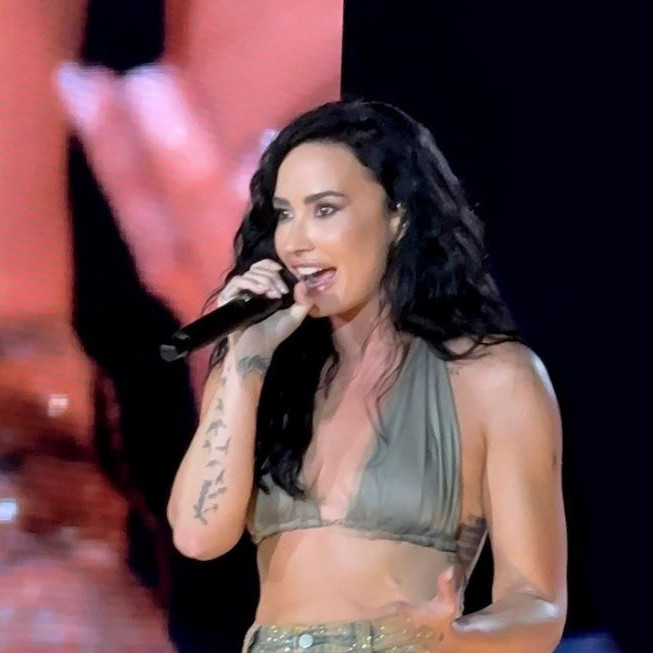 Diario Frontera, Frontera Digital,  Farándula, ,Joe Jonas y Demi Lovato emocionaron a sus fans con un inesperado reencuentro