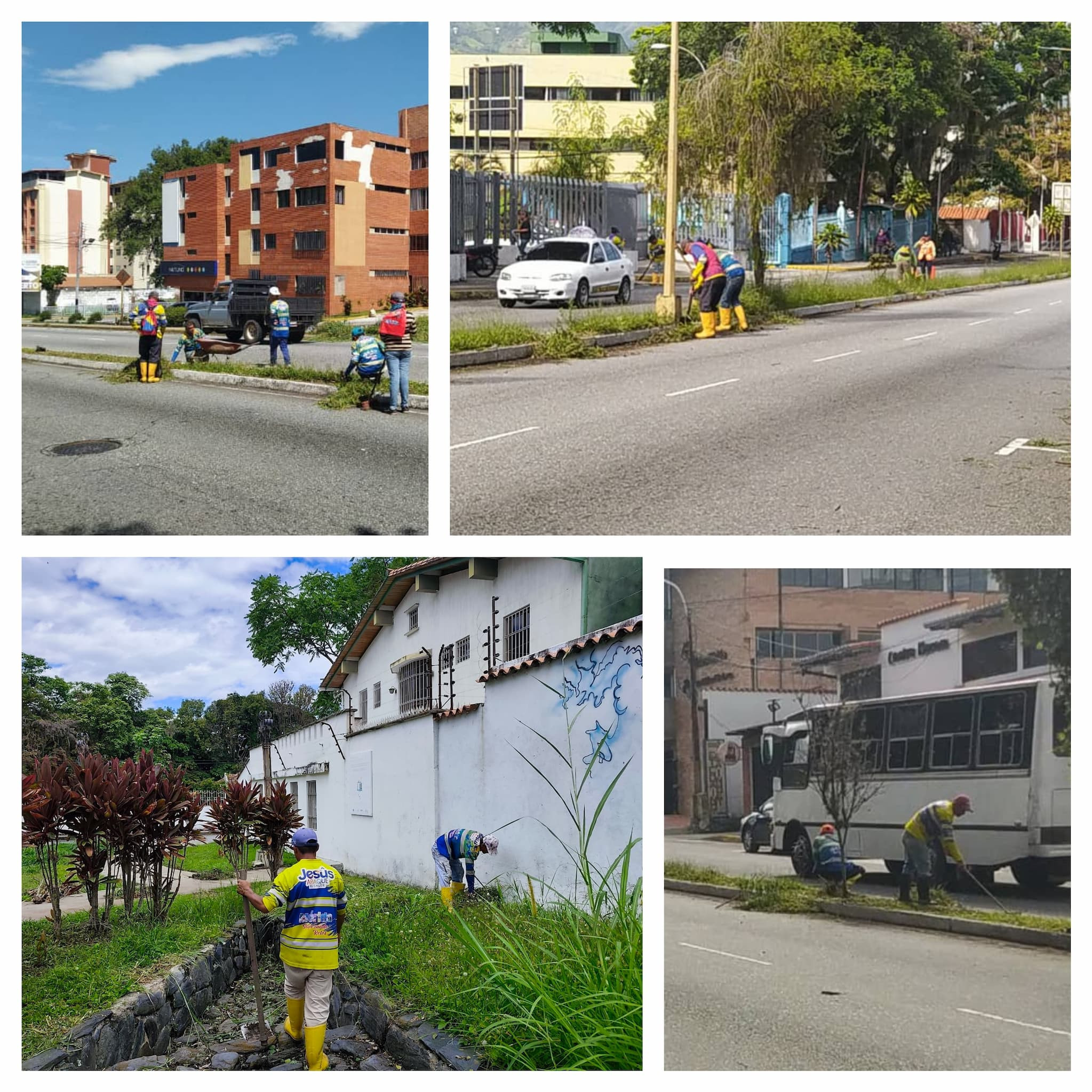 Diario Frontera, Frontera Digital,  Regionales, ,Alcalde Nelson Álvarez intensifica trabajos de desmalezamiento y limpieza de la ciudad