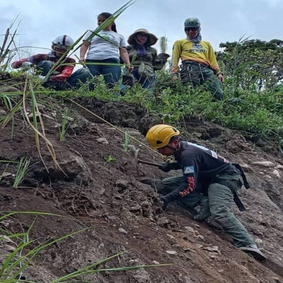 Diario Frontera, Frontera Digital,  Regionales, ,Más de 4.200 árboles se han plantado en Mérida como parte su plan de reforestación tras las lluvias