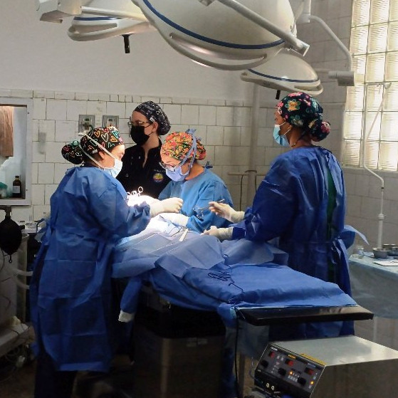 Diario Frontera, Frontera Digital,  Salud, ,Operaron 67 niños en la Jornada de Cirugía Pediátrica del Plan Quirúrgico Regional
