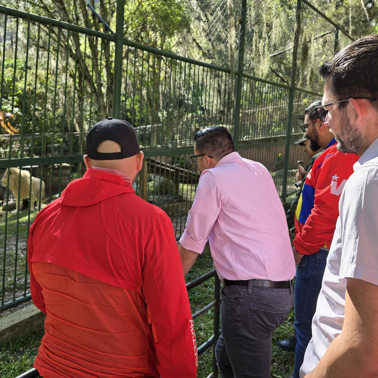 Diario Frontera, Frontera Digital,  Regionales, ,Gobernador Arnaldo Sánchez celebra el nacimiento de leones en el Parque Zoológico Chorros de Milla