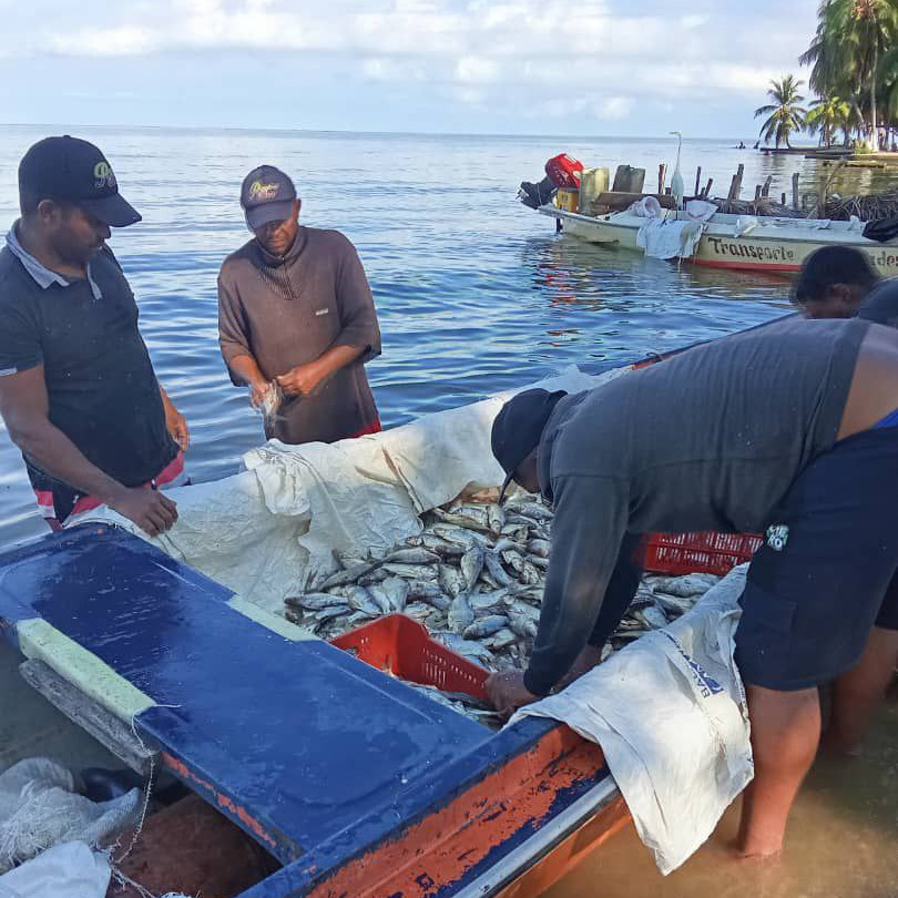 Diario Frontera, Frontera Digital,  El Vigía Panamericana, ,MinPesca Mérida verificó producción pesquera en el Puerto de Palmarito