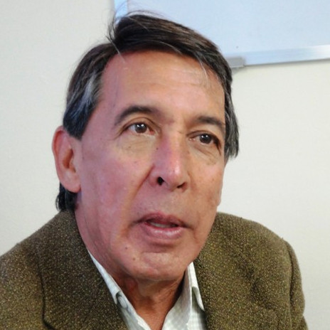 Diario Frontera, Frontera Digital,  Opinión, ,El dilema del avestruz por Antonio José Monagas