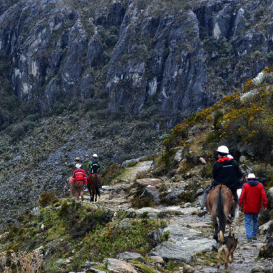 Diario Frontera, Frontera Digital,  Regionales, ,Turistas arriban nuevamente al páramo de Mérida después de dos meses