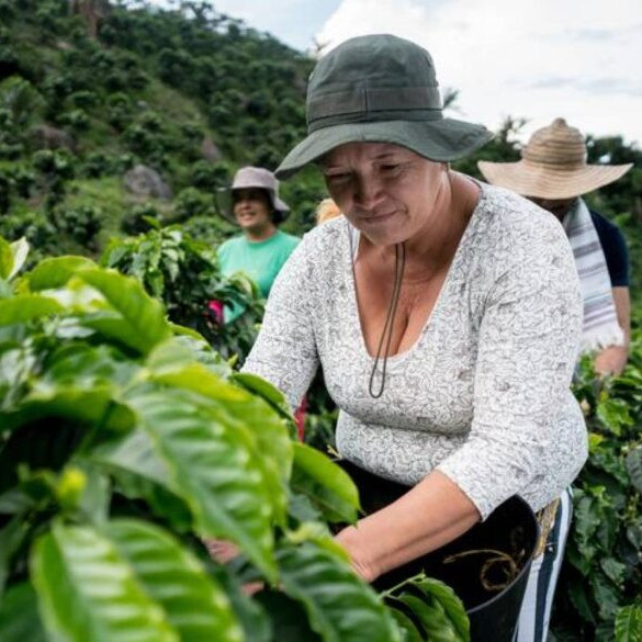 Diario Frontera, Frontera Digital,  Internacionales, ,FAO indica que mujeres son más vulnerables a la inseguridad alimentaria