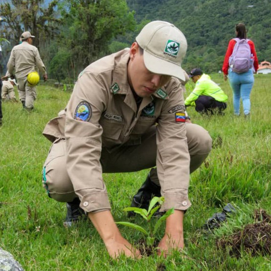 Diario Frontera, Frontera Digital,  Regionales, ,Más de 4000 árboles fueron sembrados en jornada de reforestación en Mérida