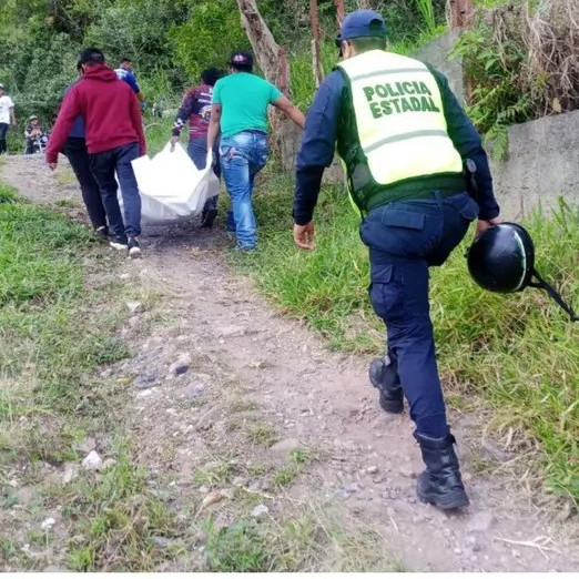 Diario Frontera, Frontera Digital,  Sucesos, ,Se suicidó agricultor de 75 años en el sector San Isidro