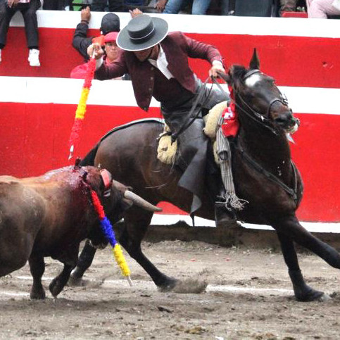 Diario Frontera, Frontera Digital,  Entretenimiento, ,Rejoneador Francisco Javier Rodríguez 
hace historia al indultar un gran toro