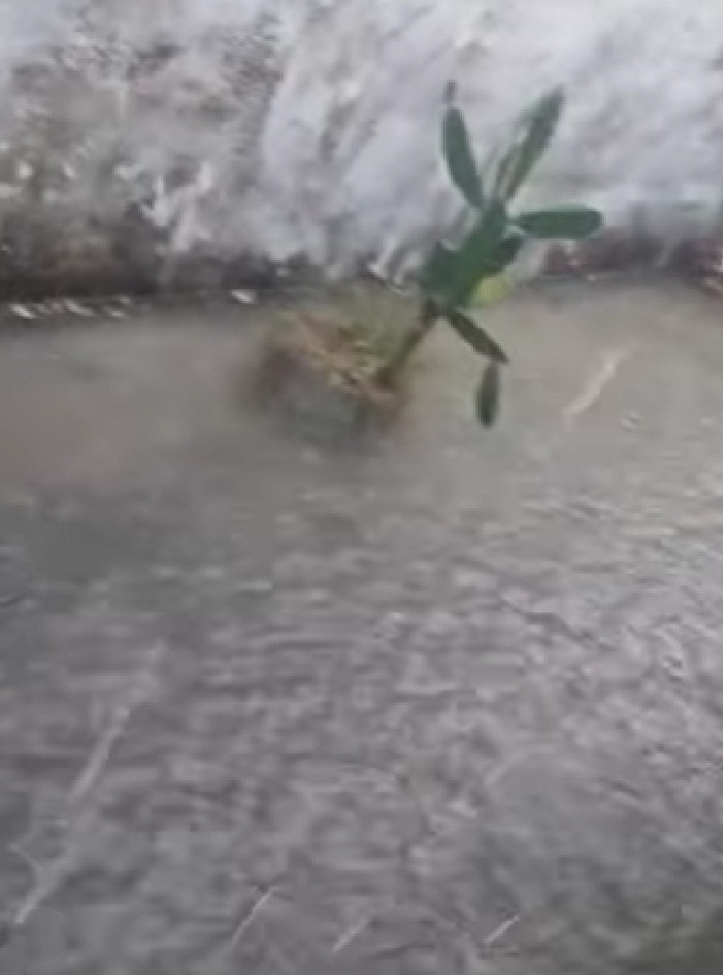 Diario Frontera, Frontera Digital,  El Vigía Panamericana, ,Lluvias y cloacas anegaron viviendas en sector Los Robles de El Vigía