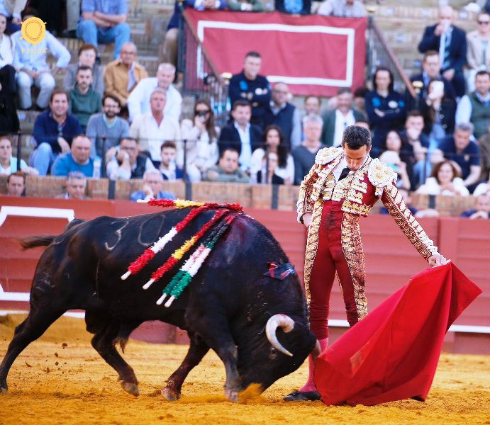 Diario Frontera, Frontera Digital,  Entretenimiento, ,Tomas Rufo causa baja sorpresiva por lesión de rodilla en Tovar (Ven.)