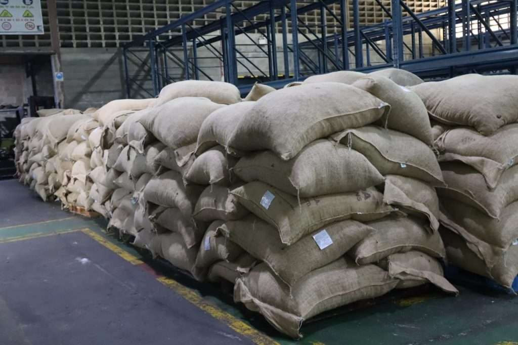 Diario Frontera, Frontera Digital,  Nacionales, ,Venezuela en 2 meses ha enviado 300 toneladas de cacao a Rusia