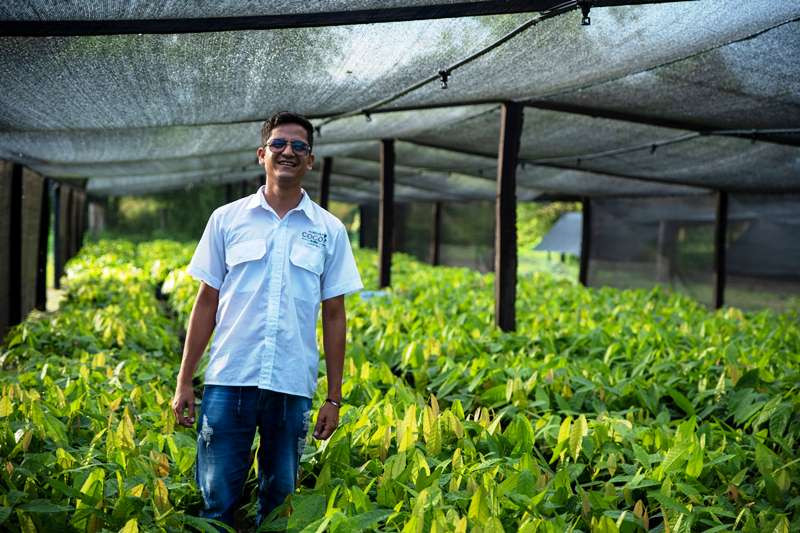 Diario Frontera, Frontera Digital,  Nacionales, ,El proyecto no solo representa innovación, sino también la fuerza del trabajo y la visión de futuro, reafirmando que el cacao venezolano tiene el potencial de convertirse en un referente de calidad en el mundo,𝗠𝗮́𝘀 𝗱𝗲 600 𝗵𝗲𝗰𝘁𝗮́𝗿𝗲𝗮𝘀 𝗱𝗲 𝗰𝗮𝗰𝗮𝗼 𝗰𝗼𝗻𝘀𝗼𝗹𝗶𝗱𝗮𝗻 𝗲𝗹 𝗱𝗲𝘀𝗮𝗿𝗿𝗼𝗹𝗹𝗼 𝗮𝗴𝗿𝗼𝗽𝗿𝗼𝗱𝘂𝗰𝘁𝗶𝘃𝗼