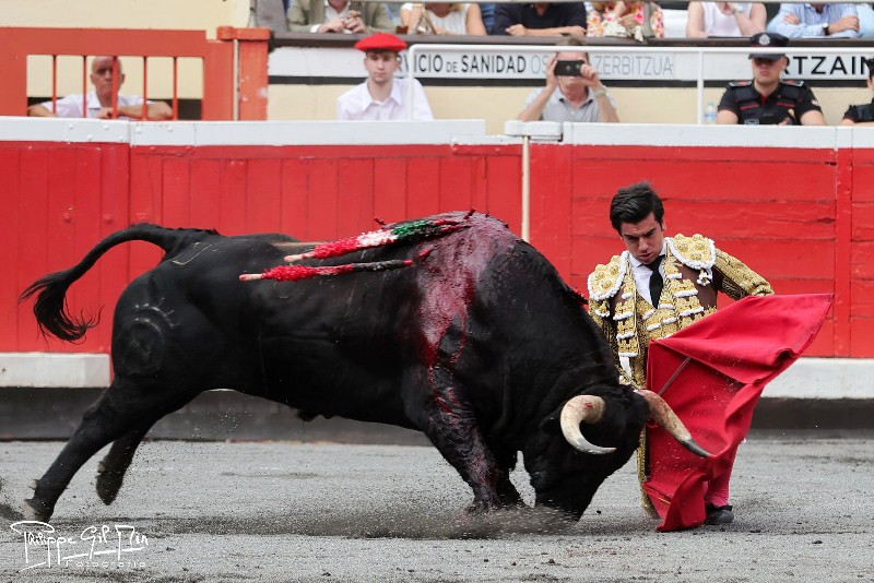 Diario Frontera, Frontera Digital,  Entretenimiento, ,“Colombo” y “El Galo”, orejas de una interesante corrida 
de Partido de Resina en la Feria de Cuellar