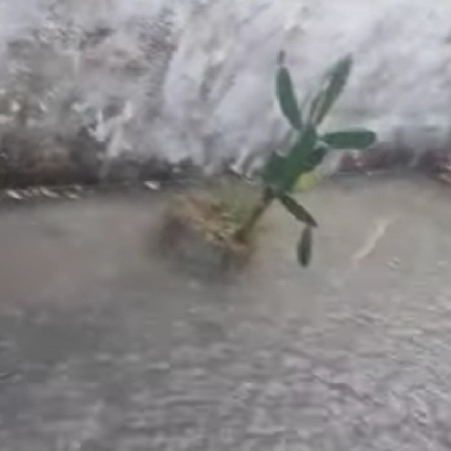 Diario Frontera, Frontera Digital,  El Vigía Panamericana, ,Lluvias y cloacas anegaron viviendas en sector Los Robles de El Vigía