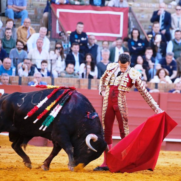 Diario Frontera, Frontera Digital,  Entretenimiento, ,Tomas Rufo causa baja sorpresiva por lesión de rodilla en Tovar (Ven.)